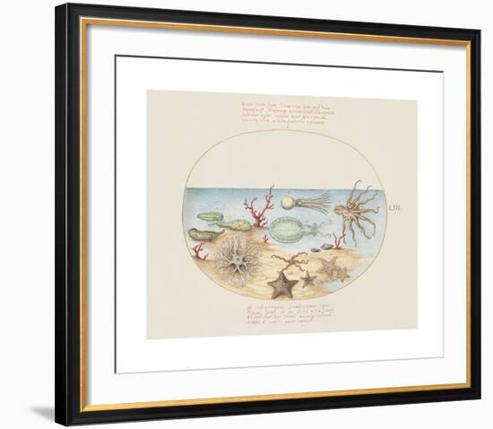 Animalia Collective - Underwater-Joris Hoefnagel-Framed Premium Giclee Print