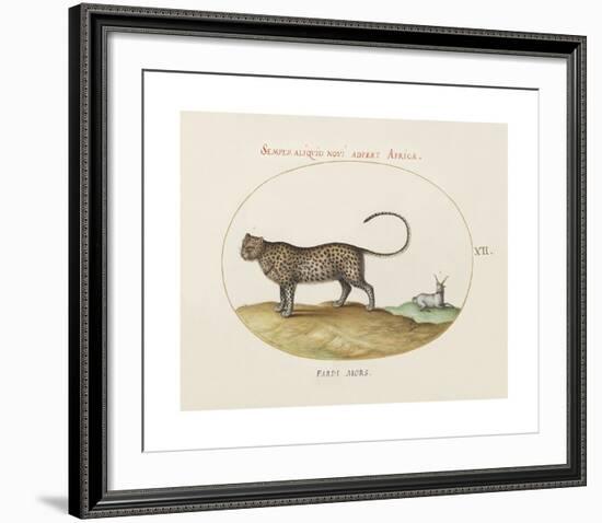 Animalia Collective - Wild Watch-Joris Hoefnagel-Framed Premium Giclee Print