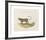 Animalia Collective - Wild Watch-Joris Hoefnagel-Framed Premium Giclee Print