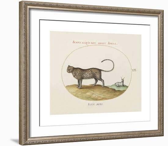 Animalia Collective - Wild Watch-Joris Hoefnagel-Framed Premium Giclee Print