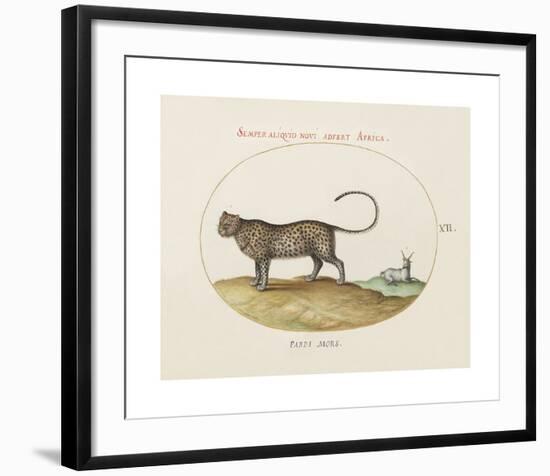 Animalia Collective - Wild Watch-Joris Hoefnagel-Framed Premium Giclee Print