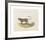 Animalia Collective - Wild Watch-Joris Hoefnagel-Framed Premium Giclee Print