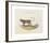 Animalia Collective - Wild Watch-Joris Hoefnagel-Framed Premium Giclee Print