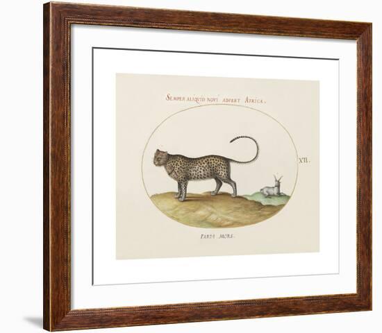 Animalia Collective - Wild Watch-Joris Hoefnagel-Framed Premium Giclee Print