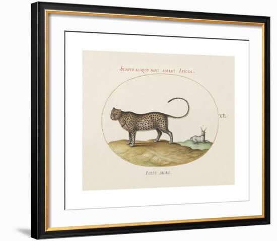 Animalia Collective - Wild Watch-Joris Hoefnagel-Framed Premium Giclee Print