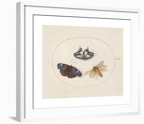 Animalia Collective - Winged Insects-Joris Hoefnagel-Framed Premium Giclee Print