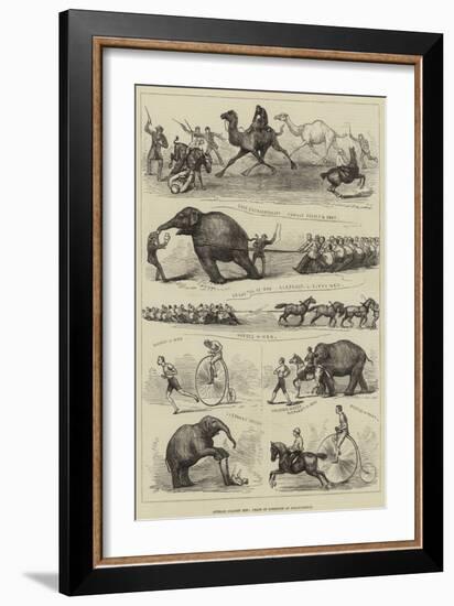 Animals Against Men, Feats of Strength at Lillie-Bridge-null-Framed Giclee Print