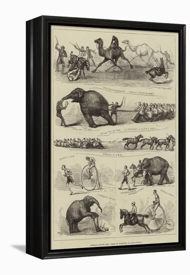 Animals Against Men, Feats of Strength at Lillie-Bridge-null-Framed Premier Image Canvas