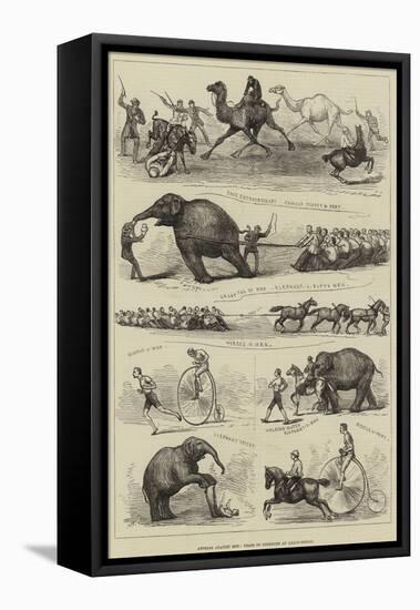 Animals Against Men, Feats of Strength at Lillie-Bridge-null-Framed Premier Image Canvas