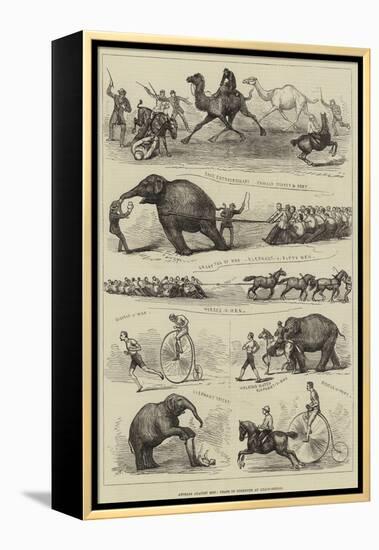 Animals Against Men, Feats of Strength at Lillie-Bridge-null-Framed Premier Image Canvas