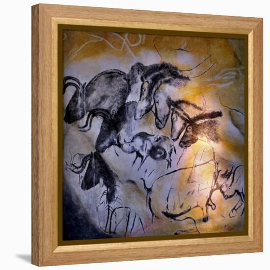 Animals and Birds, Chauvet-Pont-D'Arc Cave, Ardeche-null-Framed Premier Image Canvas