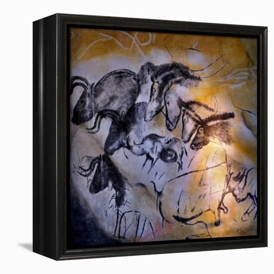 Animals and Birds, Chauvet-Pont-D'Arc Cave, Ardeche-null-Framed Premier Image Canvas