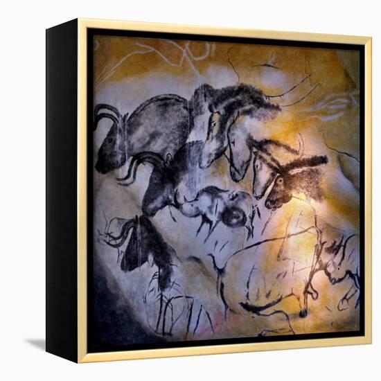 Animals and Birds, Chauvet-Pont-D'Arc Cave, Ardeche-null-Framed Premier Image Canvas