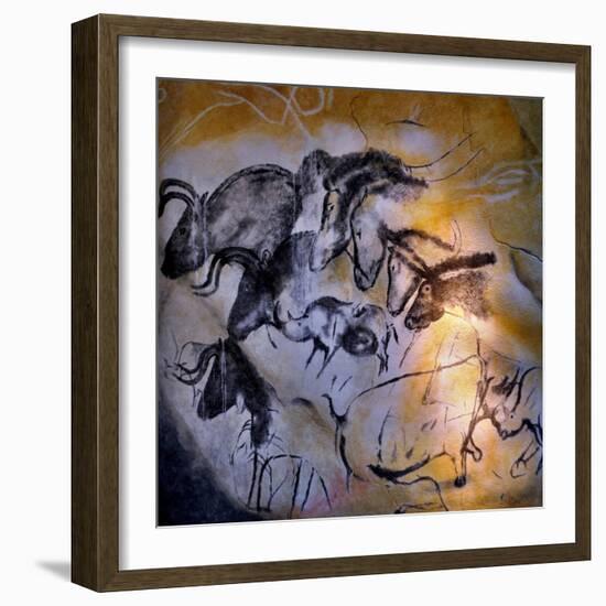 Animals and Birds, Chauvet-Pont-D'Arc Cave, Ardeche-null-Framed Giclee Print