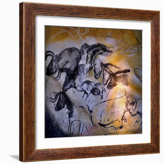 Animals and Birds, Chauvet-Pont-D'Arc Cave, Ardeche-null-Framed Giclee Print