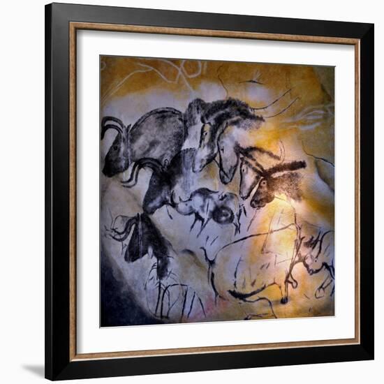 Animals and Birds, Chauvet-Pont-D'Arc Cave, Ardeche-null-Framed Giclee Print