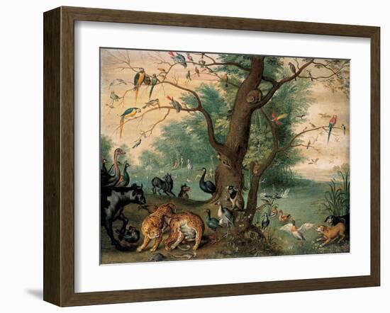 Animals and Birds in the Garden of Eden-Ferdinand van Kessel-Framed Giclee Print