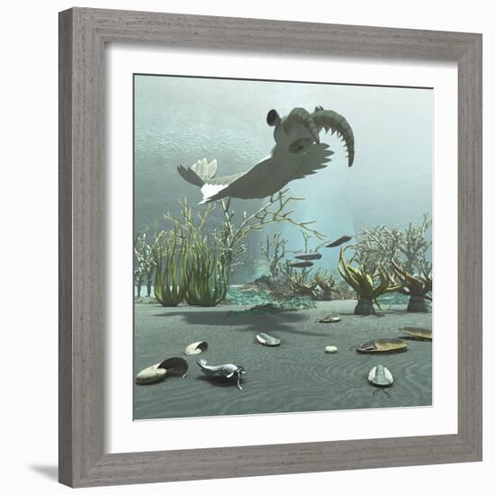 Animals and Floral Life from the Burgess Shale Formation of the Cambrian Period-Stocktrek Images-Framed Premium Giclee Print