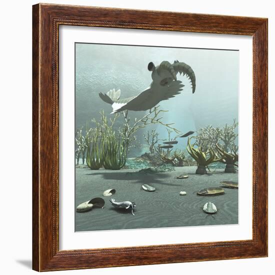 Animals and Floral Life from the Burgess Shale Formation of the Cambrian Period-Stocktrek Images-Framed Premium Giclee Print