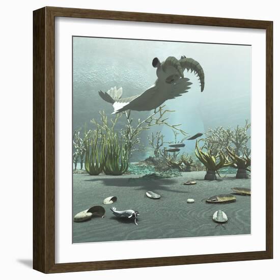 Animals and Floral Life from the Burgess Shale Formation of the Cambrian Period-Stocktrek Images-Framed Art Print