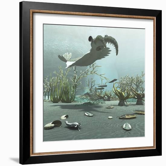 Animals and Floral Life from the Burgess Shale Formation of the Cambrian Period-Stocktrek Images-Framed Art Print