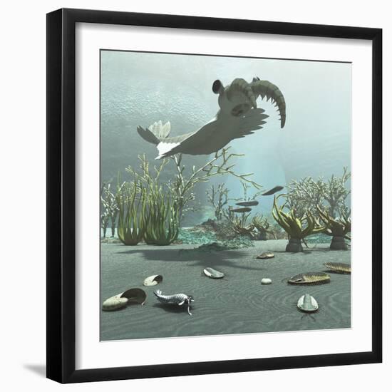 Animals and Floral Life from the Burgess Shale Formation of the Cambrian Period-Stocktrek Images-Framed Art Print