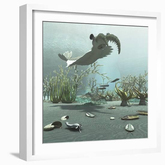 Animals and Floral Life from the Burgess Shale Formation of the Cambrian Period-Stocktrek Images-Framed Art Print