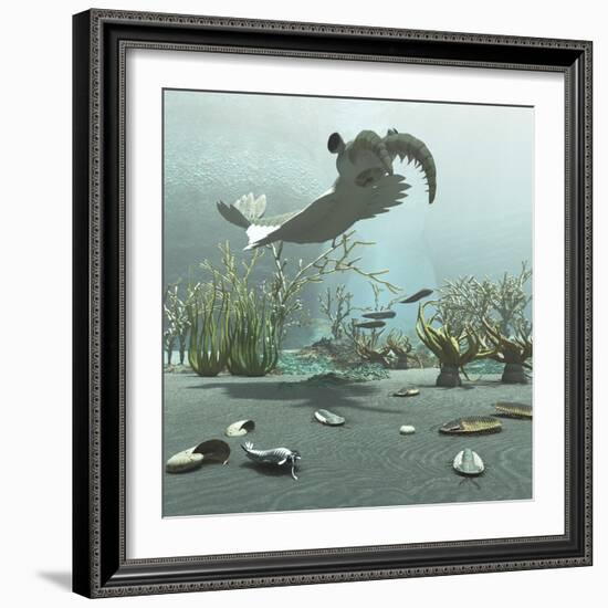 Animals and Floral Life from the Burgess Shale Formation of the Cambrian Period-Stocktrek Images-Framed Art Print