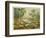 Animals and Plants of the Carboniferous Era in Europe-Ferdinand Von Hochstetter-Framed Photographic Print