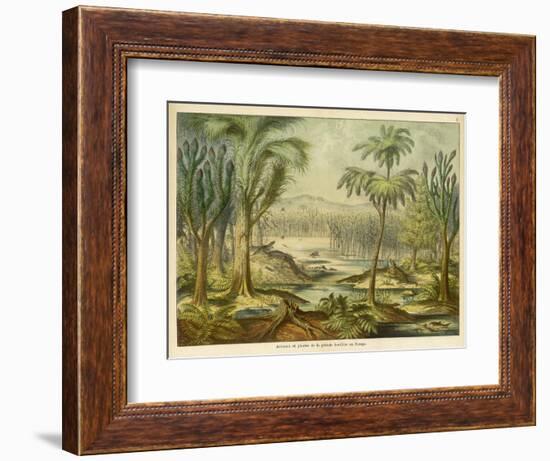 Animals and Plants of the Carboniferous Era in Europe-Ferdinand Von Hochstetter-Framed Photographic Print