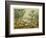 Animals and Plants of the Carboniferous Era in Europe-Ferdinand Von Hochstetter-Framed Photographic Print