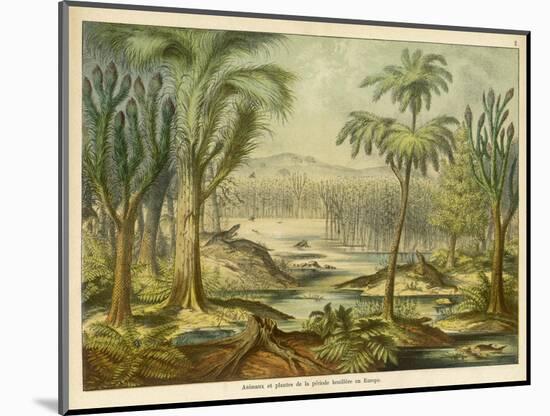 Animals and Plants of the Carboniferous Era in Europe-Ferdinand Von Hochstetter-Mounted Photographic Print