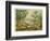 Animals and Plants of the Carboniferous Era in Europe-Ferdinand Von Hochstetter-Framed Photographic Print