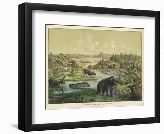 Animals and Plants of the Tertiary Era in Europe-Ferdinand Von Hochstetter-Framed Art Print