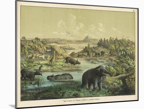 Animals and Plants of the Tertiary Era in Europe-Ferdinand Von Hochstetter-Mounted Art Print