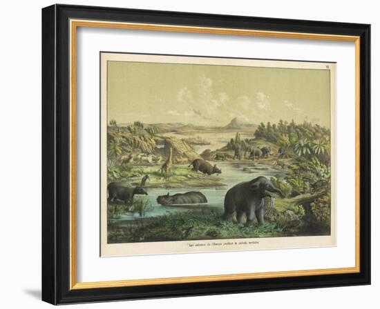 Animals and Plants of the Tertiary Era in Europe-Ferdinand Von Hochstetter-Framed Art Print