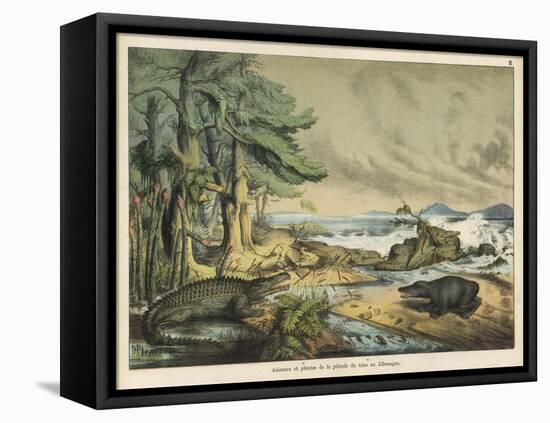 Animals and Plants of the Triassic Era in Germany-Ferdinand Von Hochstetter-Framed Stretched Canvas