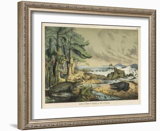 Animals and Plants of the Triassic Era in Germany-Ferdinand Von Hochstetter-Framed Art Print