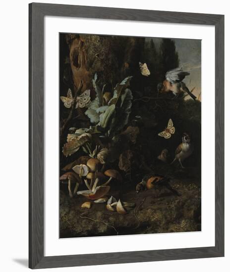 Animals and Plants-Melchior d'Hondecoeter-Framed Premium Giclee Print