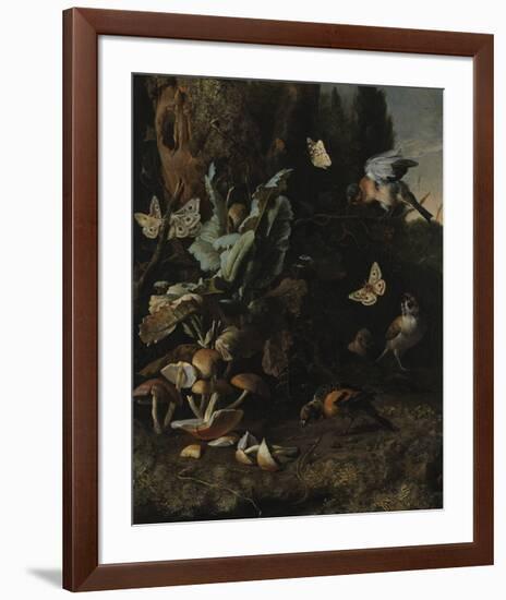 Animals and Plants-Melchior d'Hondecoeter-Framed Premium Giclee Print