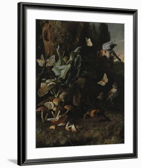 Animals and Plants-Melchior d'Hondecoeter-Framed Premium Giclee Print