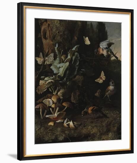 Animals and Plants-Melchior d'Hondecoeter-Framed Premium Giclee Print