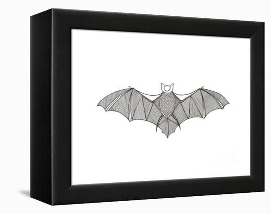 Animals Bat-Neeti Goswami-Framed Stretched Canvas