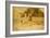 Animals before a Thatched Barn-James Ward-Framed Giclee Print