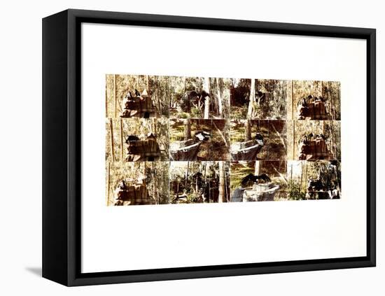 Animals (birds) 34 (drawing)-Ralph Steadman-Framed Premier Image Canvas