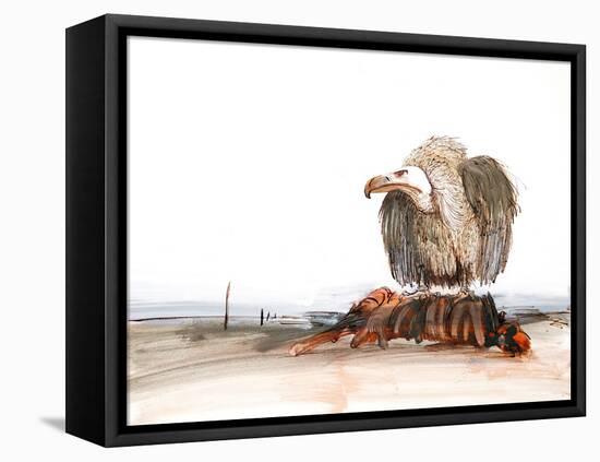 Animals (birds) 36 (drawing)-Ralph Steadman-Framed Premier Image Canvas