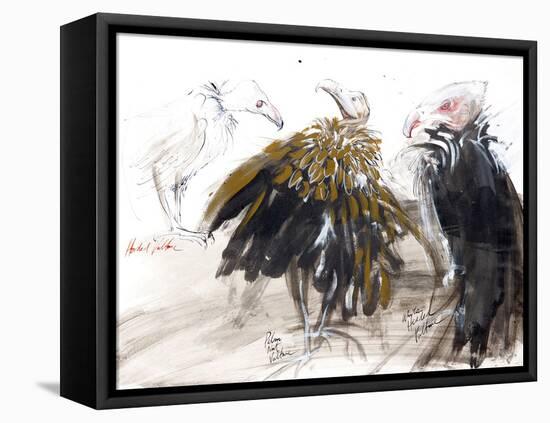 Animals (birds) 41 (drawing)-Ralph Steadman-Framed Premier Image Canvas