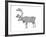 Animals Caribou-Neeti Goswami-Framed Art Print