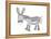 Animals Donkey-Neeti Goswami-Framed Stretched Canvas