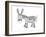 Animals Donkey-Neeti Goswami-Framed Art Print